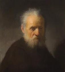 Vieil homme à la barbe